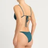 Addison Brief