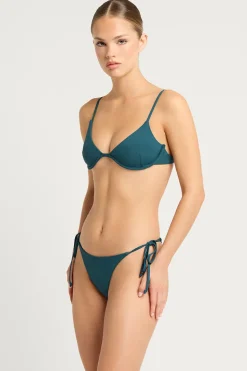 Addison Brief