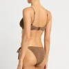Anisha Brief