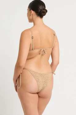 Anisha Brief