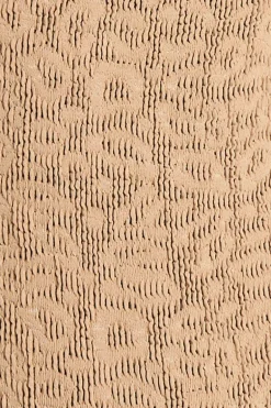 Anisha Brief