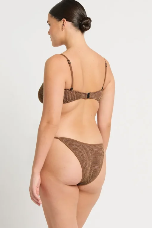 Anisha Brief