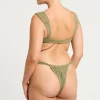 Georgia Brief