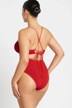 Palmer Brief