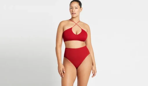 Palmer Brief