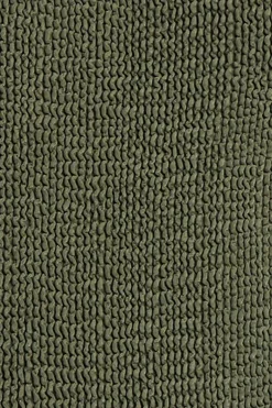 Palmer Brief