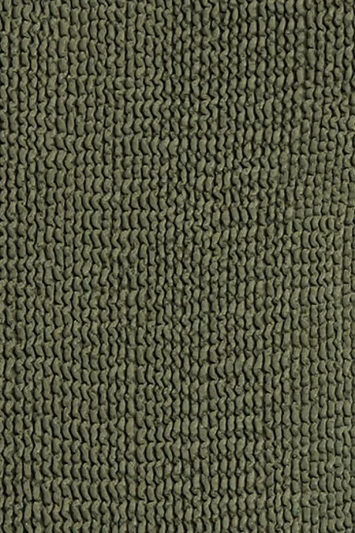 Palmer Brief