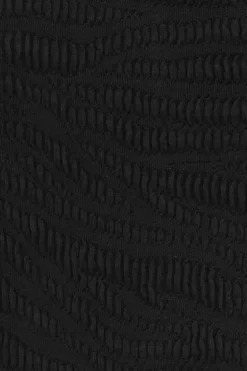 Palmer Brief