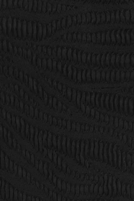 Palmer Brief