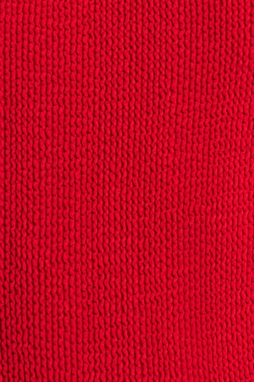 Palmer Brief