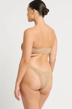 Vista Brief